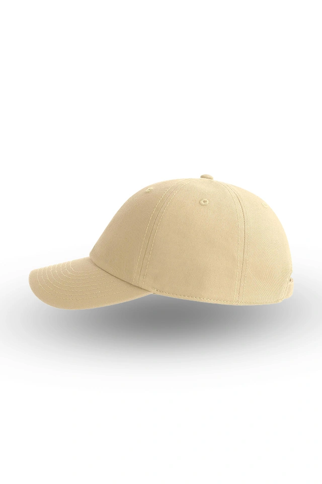 Sapca DAD HAT